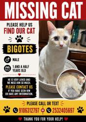 Lost Male Cat last seen Laketrail Dr Fayettevile Nc , Fayetteville, NC 28304
