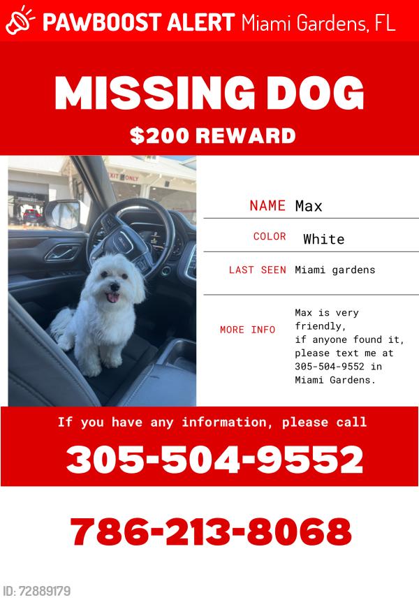 Lost Male Dog last seen Near nw 206 street, Miami Gardens, FL 33056