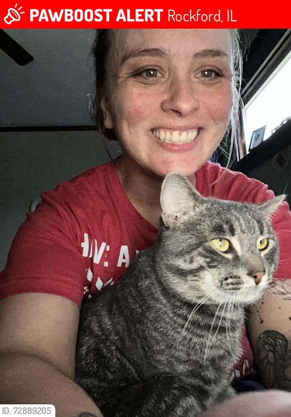 Lost Male Cat last seen Broadway, Rockford, IL 61104