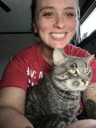 Lost Male Cat last seen Broadway, Rockford, IL 61104