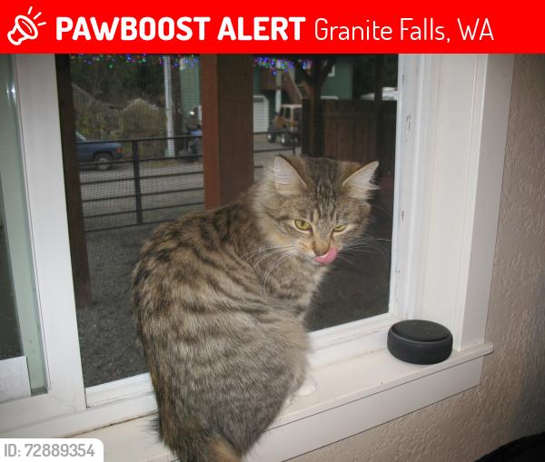 Lost Female Cat last seen Neighborhood, Granite Falls, WA 98252