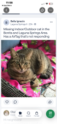 Lost Male Cat last seen Bermuda Springs, Laguna II weston FL, Weston, FL 33326