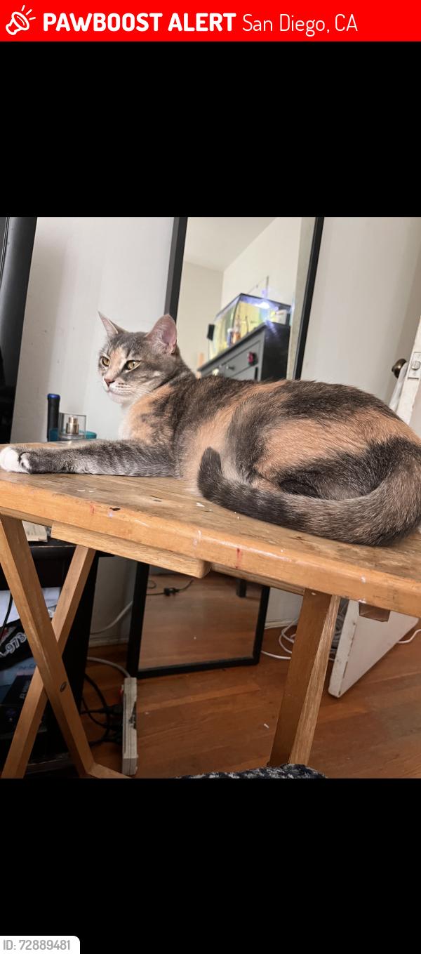 Lost Female Cat last seen Near winston dr encanto, San Diego, CA 92114