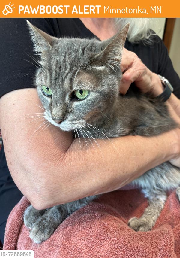 Found/Stray Female Cat last seen Hwy 101 & Minnetonka Blvd, Minnetonka, MN 55345