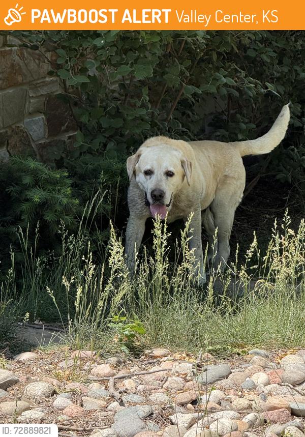 Found/Stray Male Dog last seen 93rd and Oliver, Valley Center, KS 67147