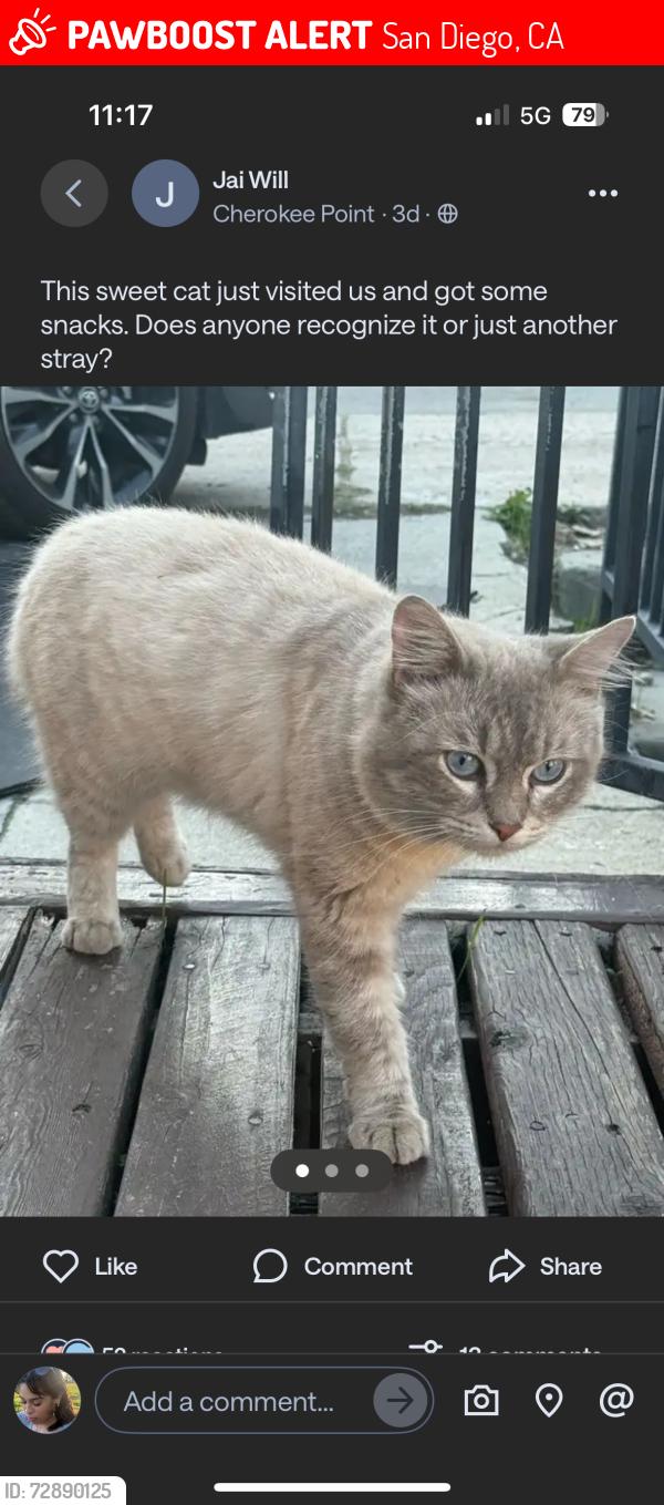 Lost Male Cat last seen Near wightman st, San Diego, CA 92104