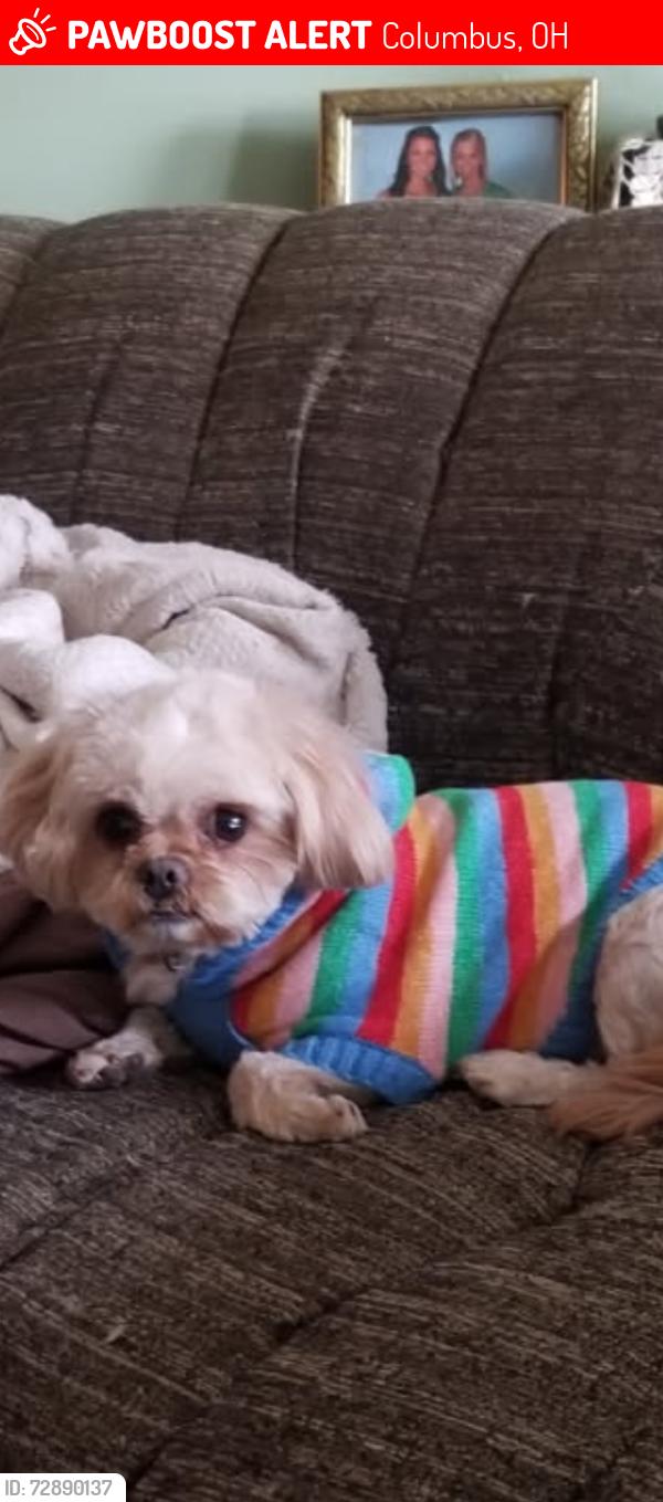 Lost Female Dog last seen West Mound elementary school, Columbus, OH 43223