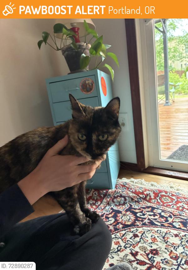Found/Stray Unknown Cat last seen SE 67th and Raymond, Portland, OR 97206