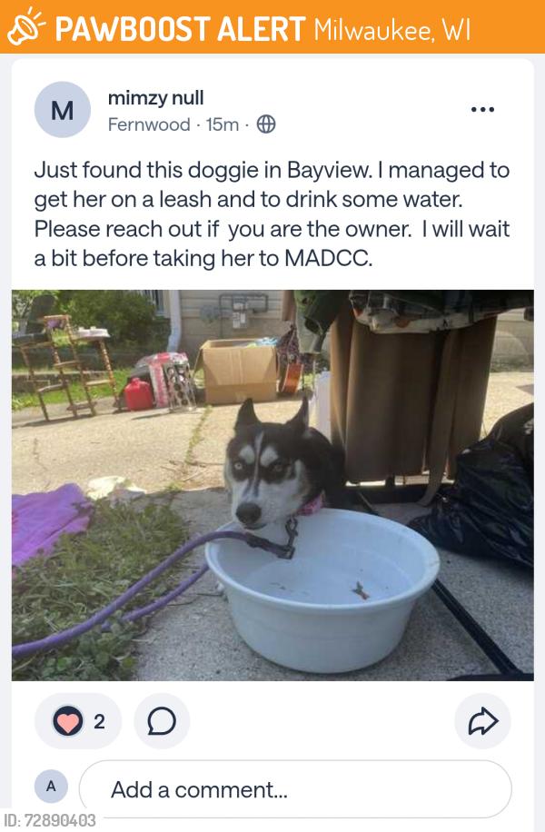 Found/Stray Female Dog last seen Near S Kinnickinnic Ave, Milwaukee, WI 53207, Milwaukee, WI 53207