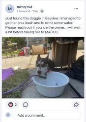 Found/Stray Female Dog last seen Near S Kinnickinnic Ave, Milwaukee, WI 53207, Milwaukee, WI 53207
