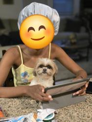 Reunited Female Dog last seen  Clearwater parkway and sweet bay, San Bernardino County, CA 92407