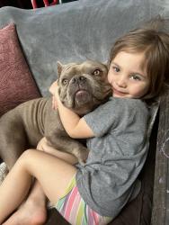 Lost Male Dog last seen Coram, Coram, NY 11727