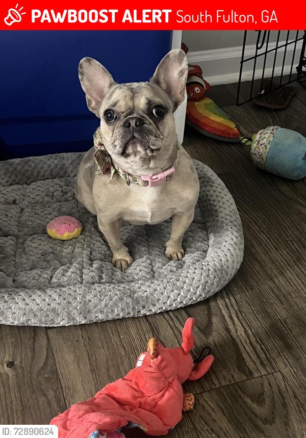Lost Female Dog last seen Two Lakes Cir and One Lake Way, South Fulton, GA 30349