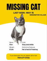 Reunited Male Cat last seen N Cromwell dr, Mooresville, NC 28115