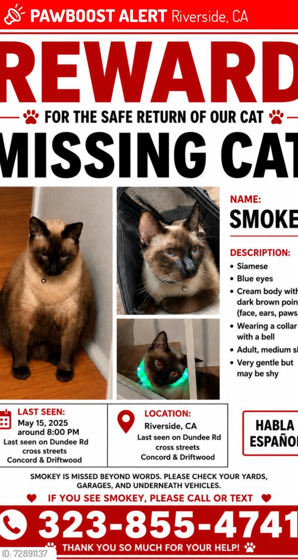 Lost Male Cat last seen Near Dundee Rd, Riverside, CA 92503
