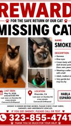 Lost Male Cat last seen Near Dundee Rd, Riverside, CA 92503