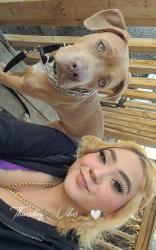 Lost Male Dog last seen behind Granada hse or On the Run, Saskatoon, SK S7L 2J9