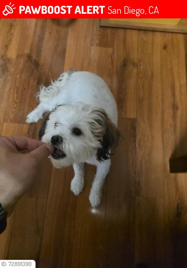 Lost Female Dog last seen Near Deep Dell Court, San Diego, CA 92114