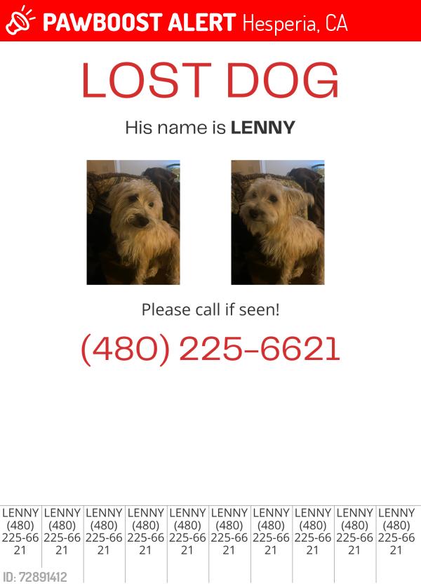 Lost Male Dog last seen Ranchero and kourie, Oak Hills, CA 92344