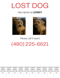 Lost Male Dog last seen Ranchero and kourie, Oak Hills, CA 92344