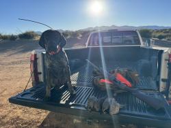 Lost Male Dog last seen Shasta Rd. And El Centro Rd., Phelan, CA 92371