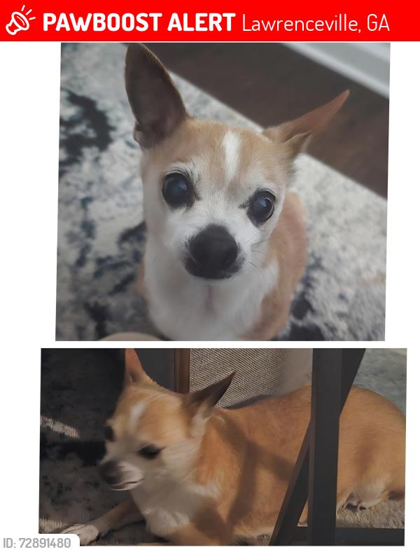 Lost Female Dog last seen Near LITTLE CREEK RD LAWRENCEVILLE (ALCOVY FALLS SUBDIVISION), Lawrenceville, GA 30045