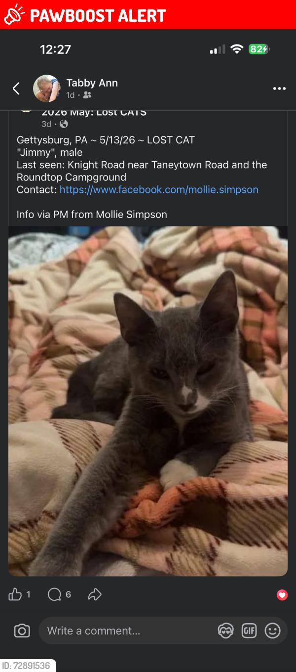 Lost Male Cat last seen Near knight road , Cumberland Township, PA 17325