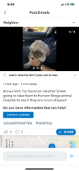 Found/Stray Female Dog last seen Heather and Horizion , Henderson, NV 89002