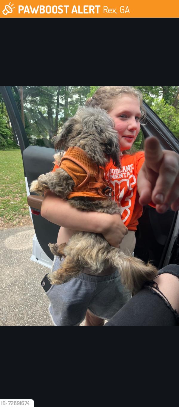 Found/Stray Male Dog last seen Stagecoach Rd Rex Ga, Rex, GA 30273