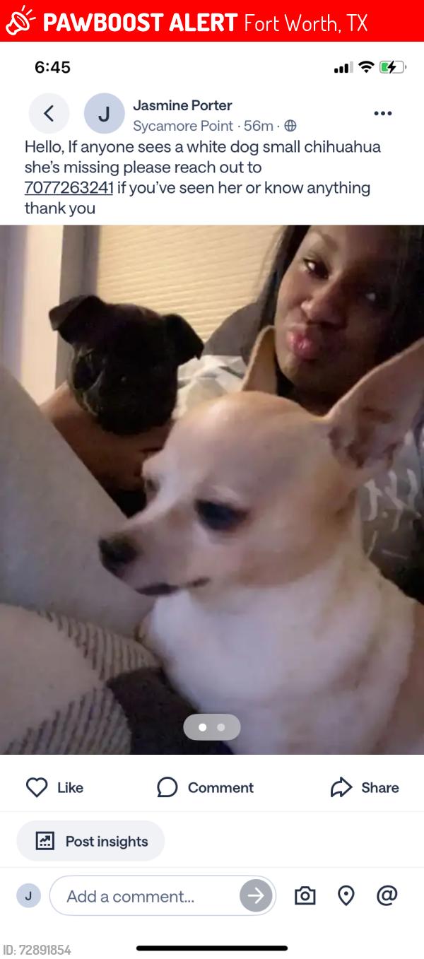 Lost Female Dog last seen Crowley rd sycamore point, Fort Worth, TX 76134