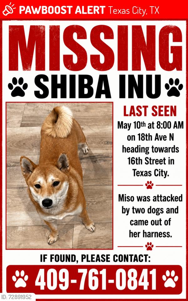 Lost Female Dog last seen 15th street and 18th Ave North , Texas City, TX 77590