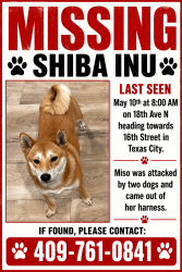 Lost Female Dog last seen 15th street and 18th Ave North , Texas City, TX 77590