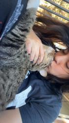 Lost Male Cat last seen Stillwater crossing, Bend, OR 97702