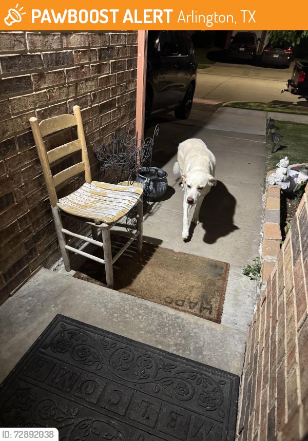 Found/Stray Unknown Dog last seen Loretta day dr., Arlington, TX 76002