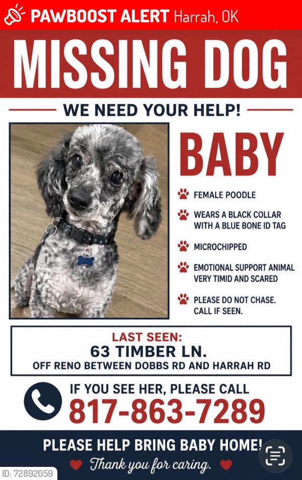 Lost Female Dog last seen Reno / Dobbs road , Harrah, OK 73045