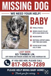 Lost Female Dog last seen Reno / Dobbs road , Harrah, OK 73045