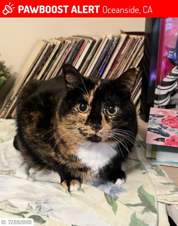 Lost Female Cat last seen Vandergrift Blvd, Oceanside, CA 92058