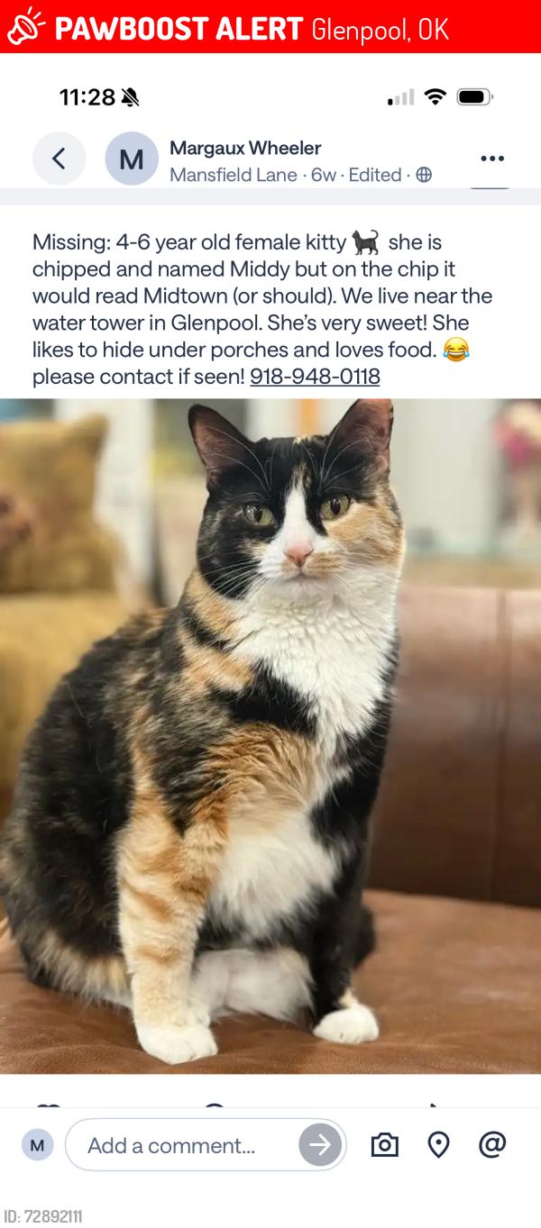 Lost Female Cat last seen Glenpool water tower, Glenpool, OK 74033