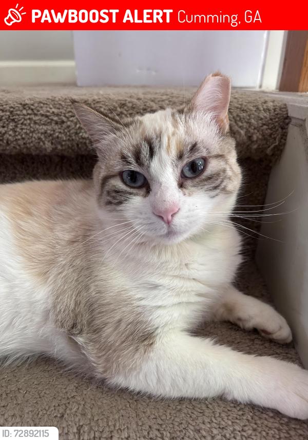 Lost Female Cat last seen Near Independence TRL, Cumming, GA 30040