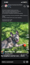 Lost Male Dog last seen Blair Road and Route 23, Hamburg, NJ 07419