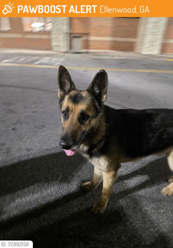 Found/Stray Male Dog last seen Wendy's Parking Lot, Ellenwood, GA 30294