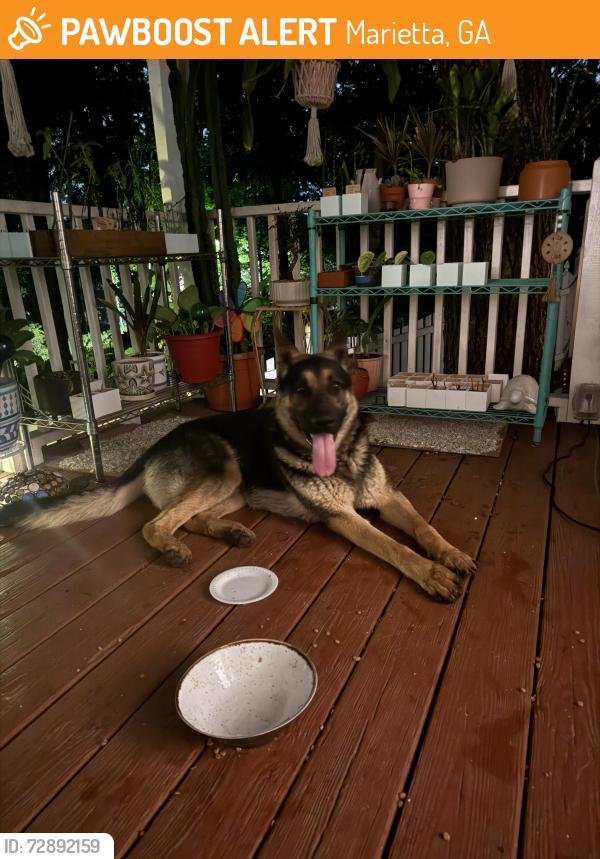 Found/Stray Male Dog last seen Friendship Church Rd SW, Marietta, GA 30064