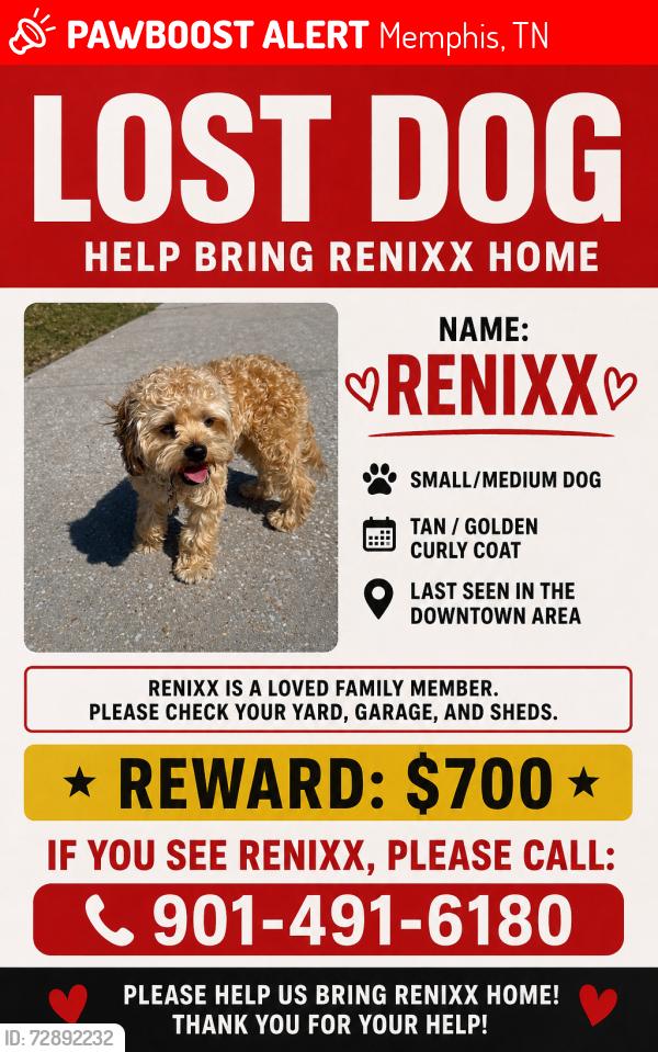 Lost Male Dog last seen Madison , Memphis, TN 38103
