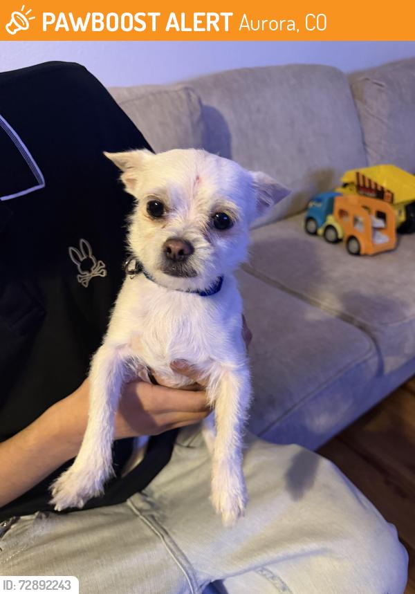 Found/Stray Unknown Dog last seen Chambers and 23rd , Aurora, CO 80011