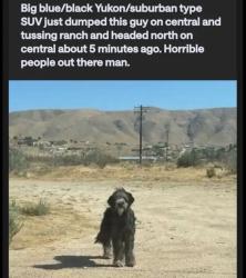 Found/Stray Unknown Dog last seen Tossing Ranch Rd and Central , San Bernardino County, CA 92308