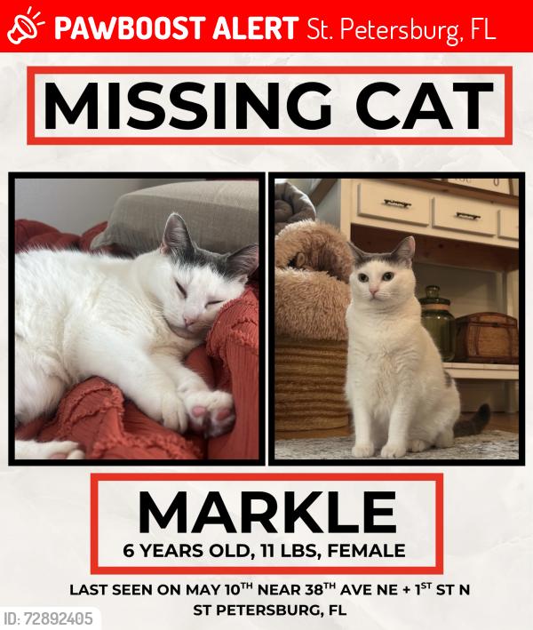 Lost Female Cat last seen 38th Ave NE + 1st St, St. Petersburg, FL 33703