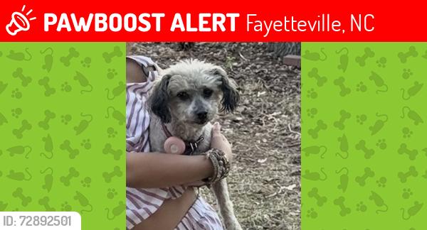 Lost Female Dog last seen She was in my backyard. I don’t know how she got out., Fayetteville, NC 28314