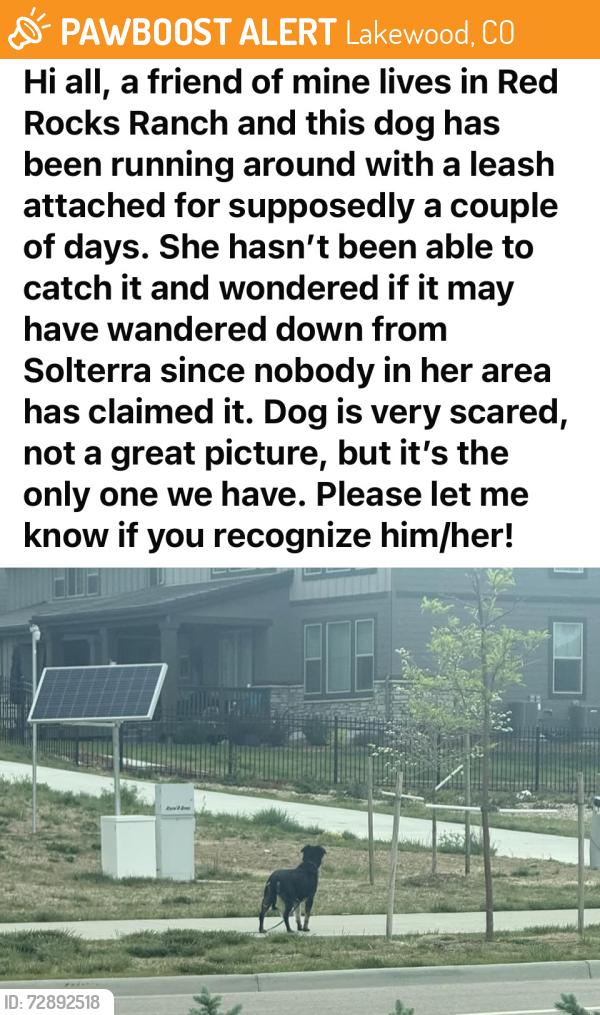 Found/Stray Unknown Dog last seen Red Rocks Ranch housing Community, Lakewood, CO 80228