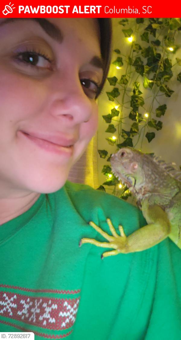 Lost Female Reptile last seen Crescent dr, lakeshore dr and Percival Rd, Columbia, SC 29206