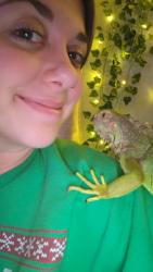 Lost Female Reptile last seen Crescent dr, lakeshore dr and Percival Rd, Columbia, SC 29206